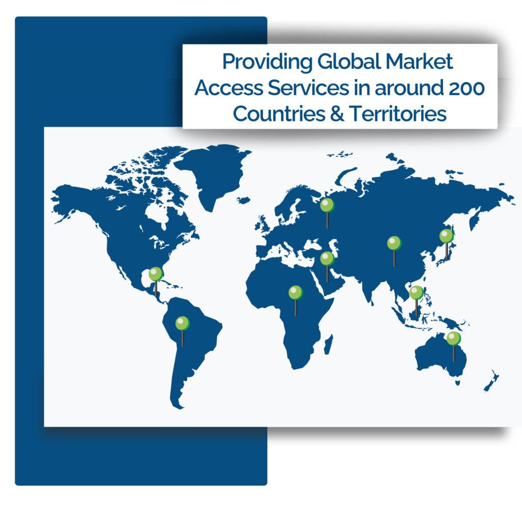 Graphic of world map in blue with text stating Global market access services offered in approximately 200 countries and territories worldwide.